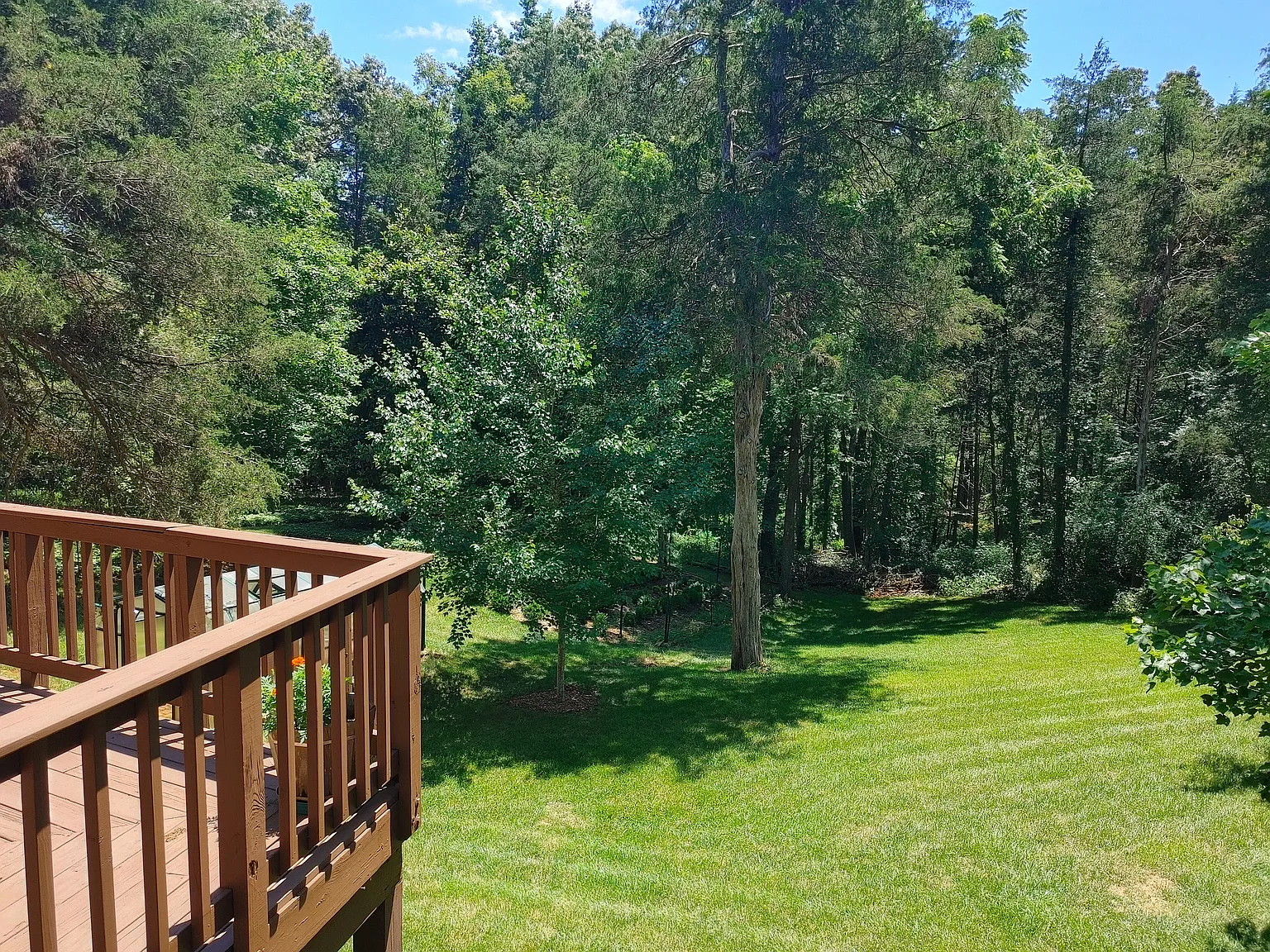 Ivy Farm Dr, Charlottesville — Photo 4