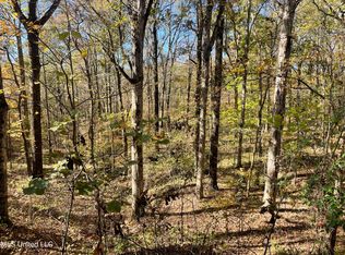 1 Truslow Rd, Sarah, MS 38665