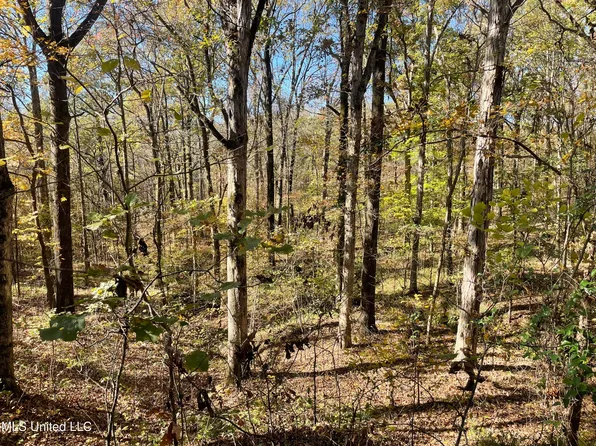 1 Truslow Rd, Sarah, MS 38665