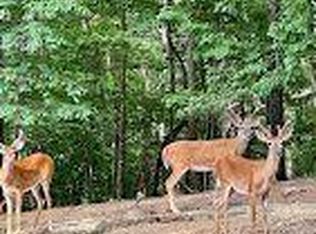 181 Poolside Ct, Ellijay, GA 30540