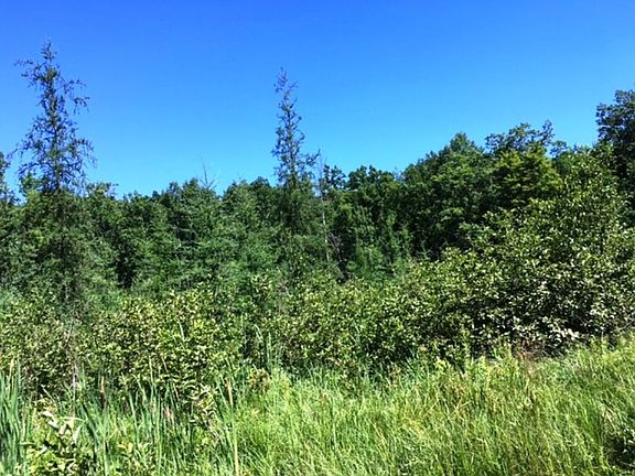 3rd image of Xyz Waletzko Road Norman Twp