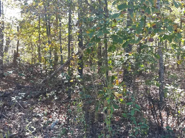 Dunvegan Ln #12, Bella Vista, AR 72715