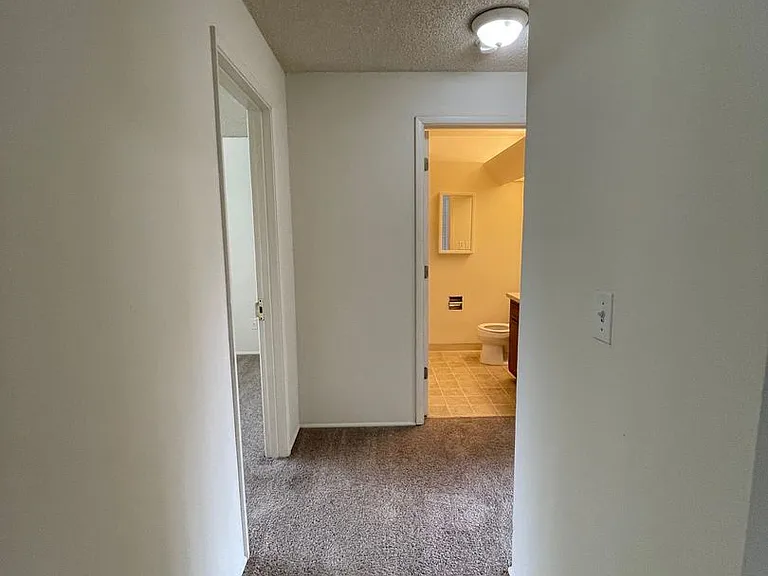 451w13 — Photo 8