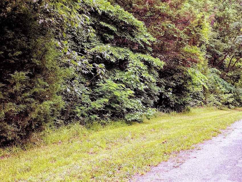 1st image of Palomino Road & Lot 14