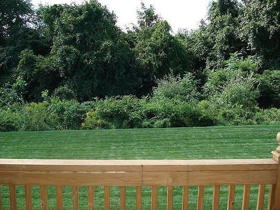 Gorgeous Rear Grounds!