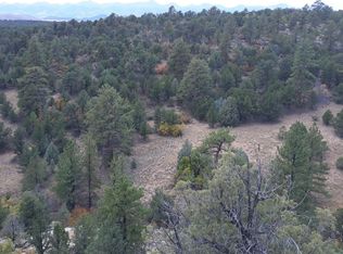 Tbd K Path, Cotopaxi, CO 81223