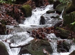 0 Hyatt Creek Rd, Marble, NC 28905