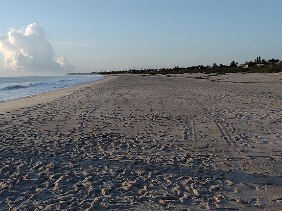 South Beach South / miles of beach to explore.