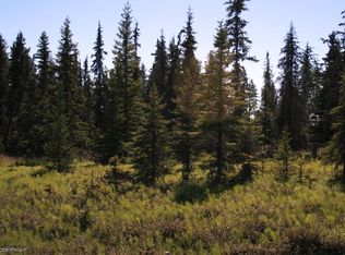 39105 Little Creek St, Anchor Pt, AK 99556