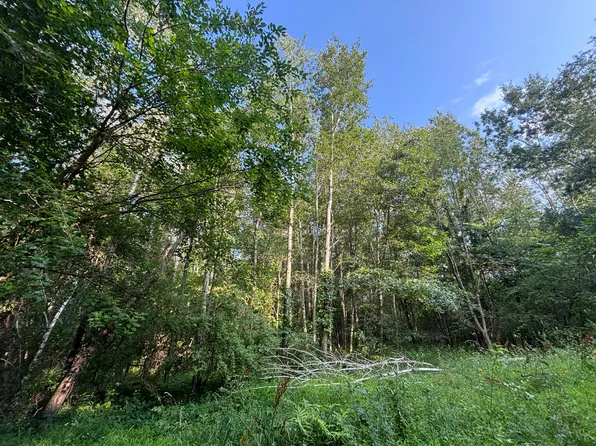 Jacob Rd #0, Grass Lake, MI 49240