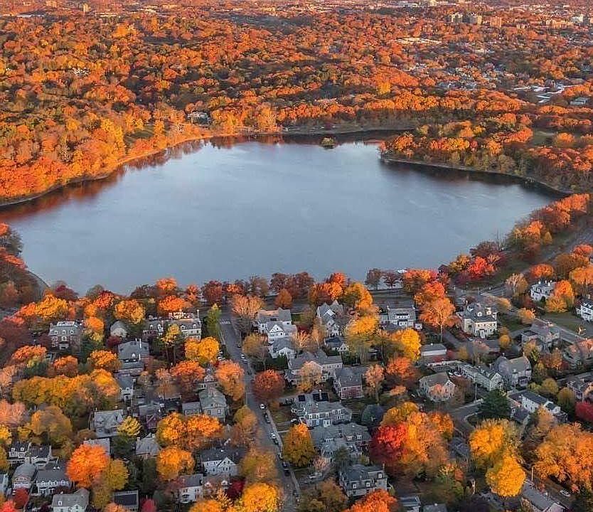 Jamaica Pond - Bathroom Overlooks