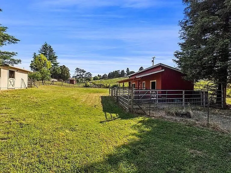 1187 Debbie Hill Rd — Photo 14