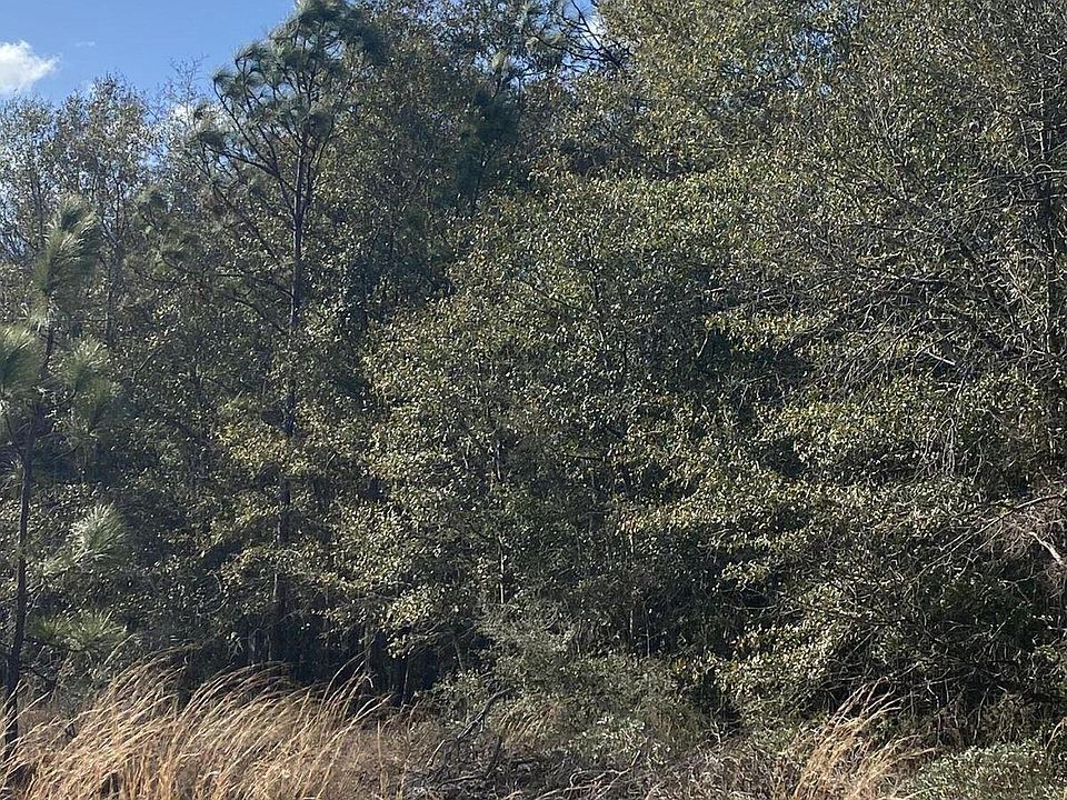 2nd image of Valley Rd