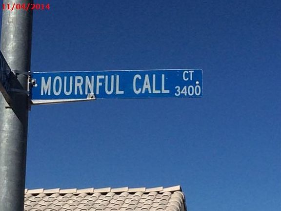 5th image of 3409 Mournful Call Ct