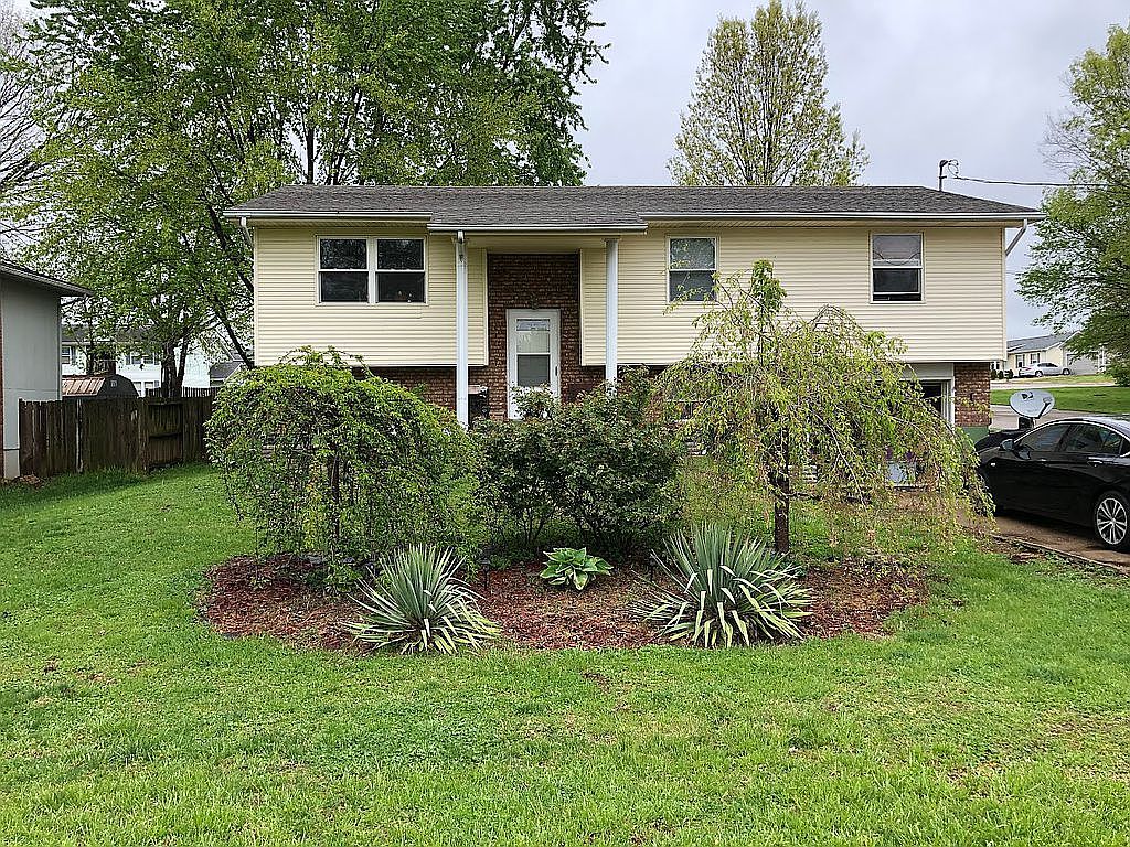 1307 E Chestnut St, Desloge, MO 63601 Zillow