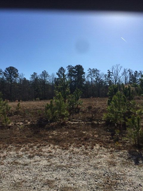 2nd image of 620 Shiloh Pl