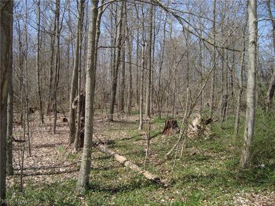 V/l Snow/valley Rd, Burton, OH, 44021