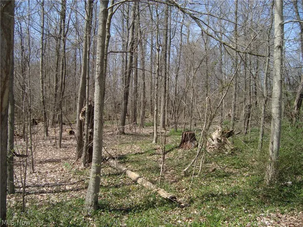 V/l Snow/valley Rd, Burton, OH 44021