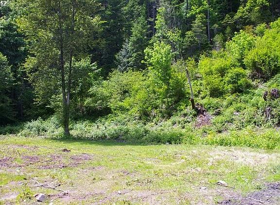 2nd image of 52991 McKenzie Hwy #804