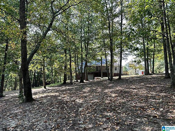 3rd image of 925 Mountain Springs Est