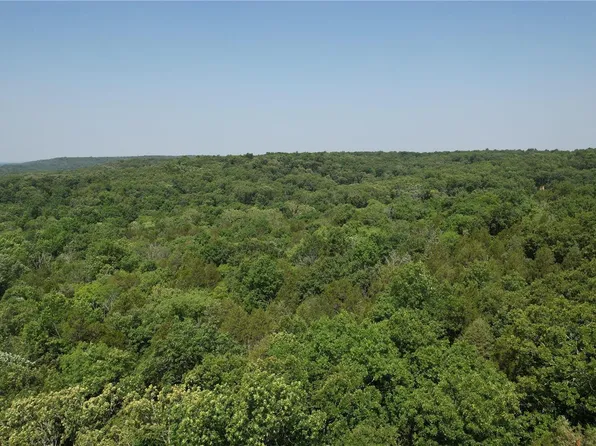 8792 Old Oak Ln, Bonne Terre, MO 63628