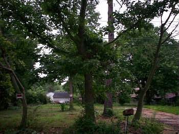 2nd image of 611 Ella Taylor Rd