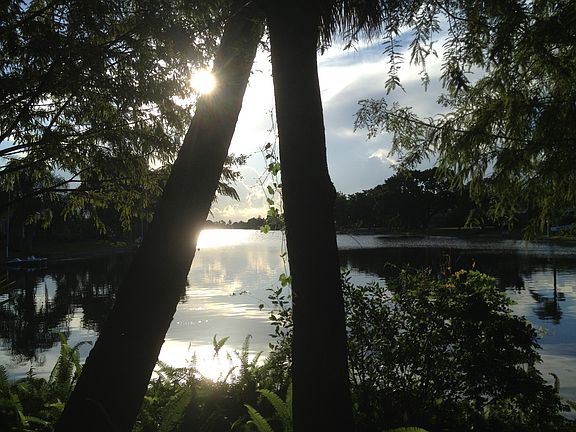 Lake View through Cypress