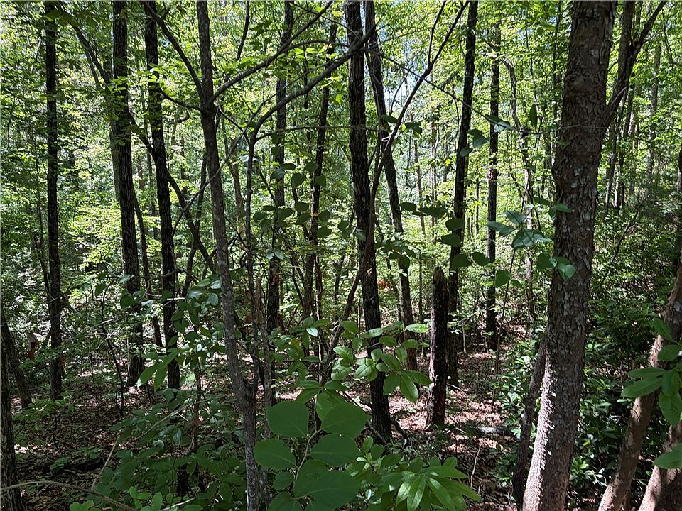 2nd image of 221 Bay View Dr