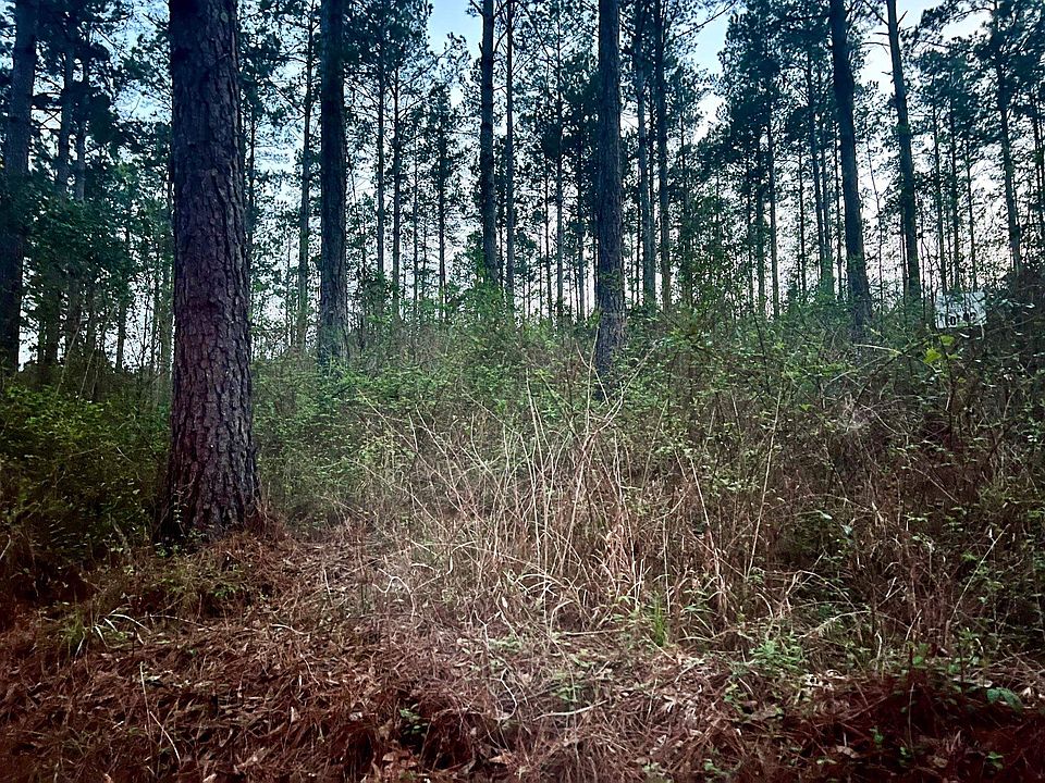 1st image of 3341 County Road 1095
