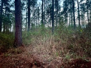 3341 County Road 1095, Center, TX 75935
