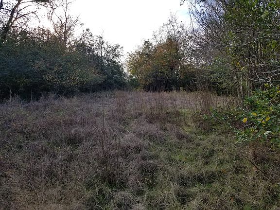 Looking To Back of Parcel