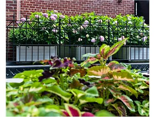 Sold by Douglas Elliman | media 29