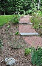 Prof landscaping and walkway