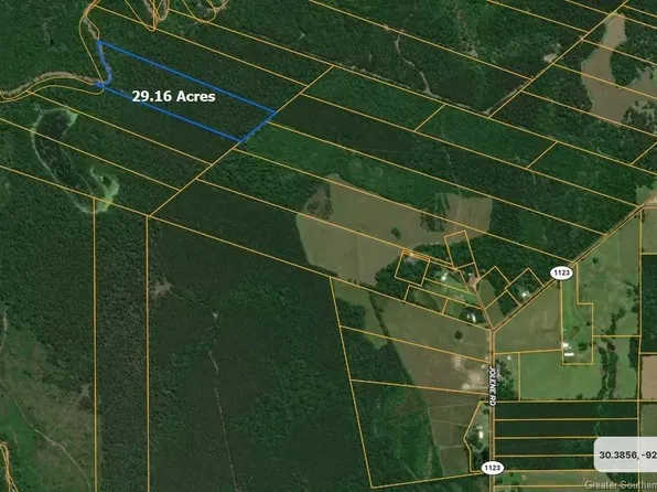 0 Nezpique Byu, Basile, LA 70515