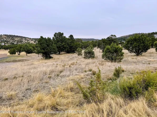 205 Saddleback Rd, Alto, NM 88312