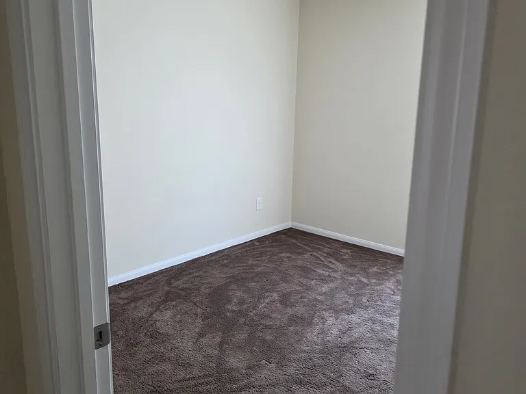 11643 Green Coral Dr — Photo 19
