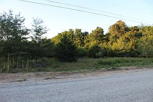 2nd image of 0 Marion County #6032