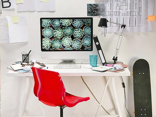 Rented by Greystar | media 2