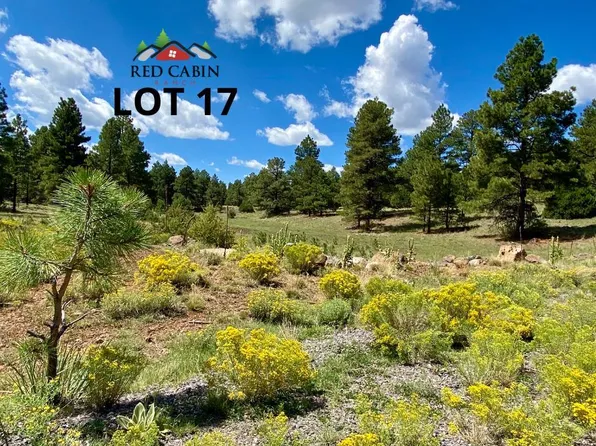 LOT 17 Red Cabin Rnch, Vernon, AZ 85940