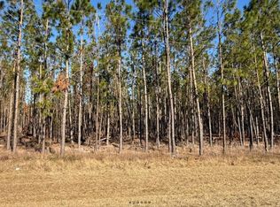 292 NW County Rd, Mayo, FL 32066