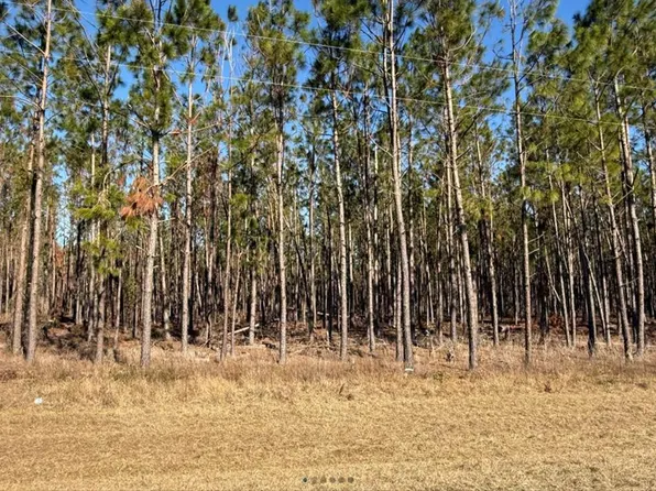  NW County Road 292, Mayo, FL 32066