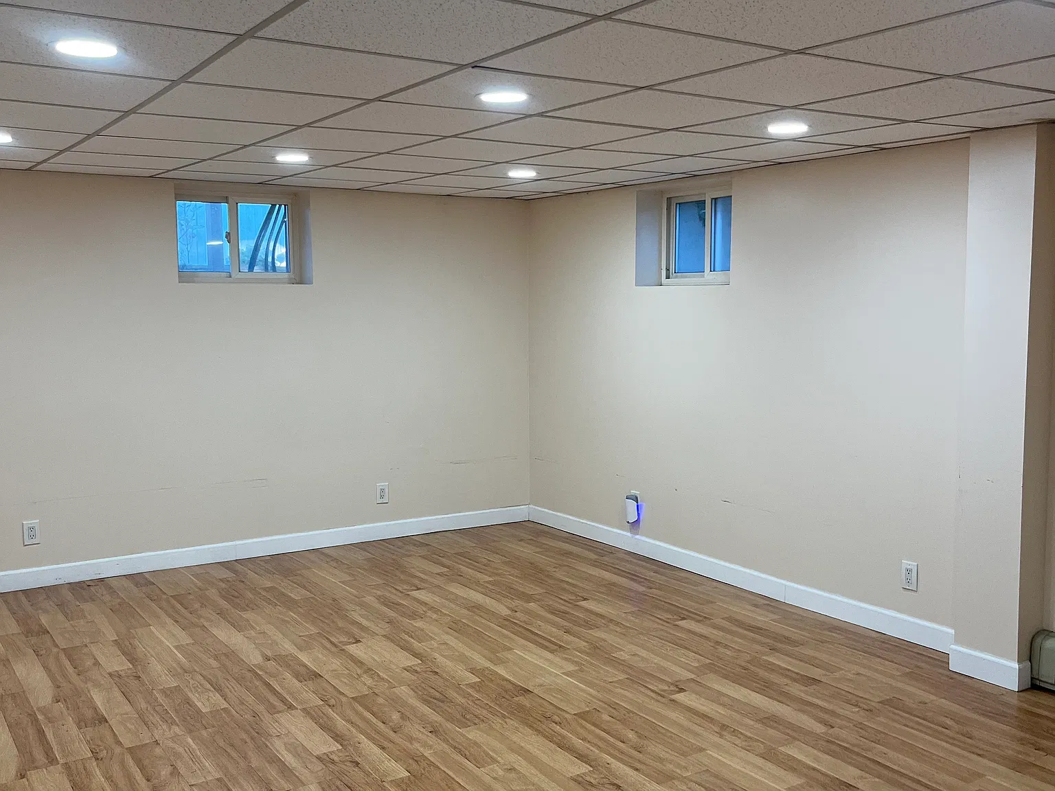 1 bed, 790 sqft, $1,600 — Photo 3