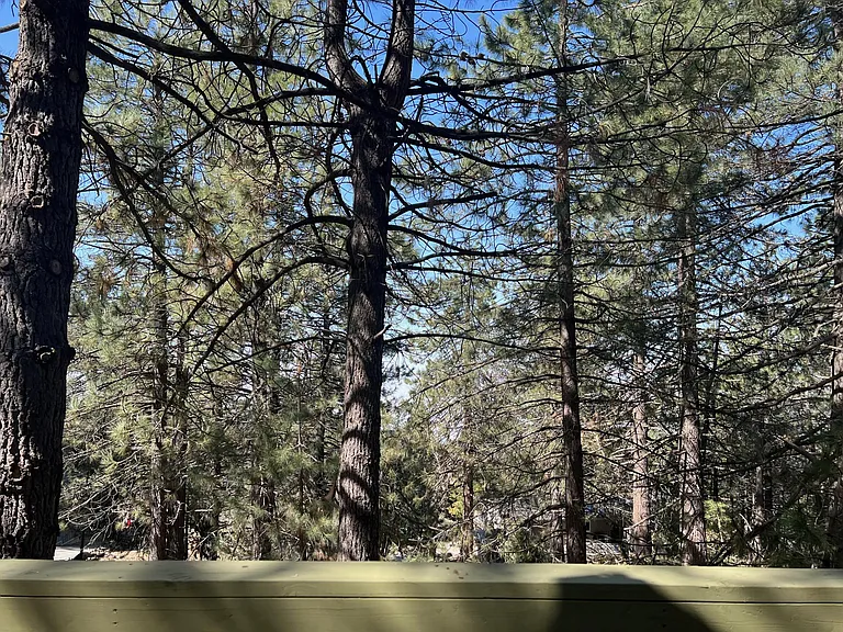 Willow Dr — Photo 22