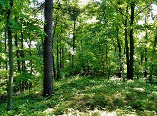 X 250th Avenue Bone Lake Twp, Luck, WI 54853