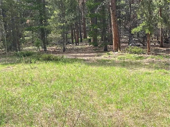 119 Cedar Way LOT 6, Black Hawk, CO 80422