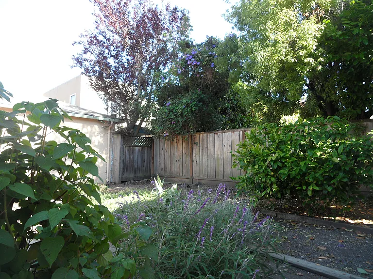 805 San Carlos Ave — Photo 39