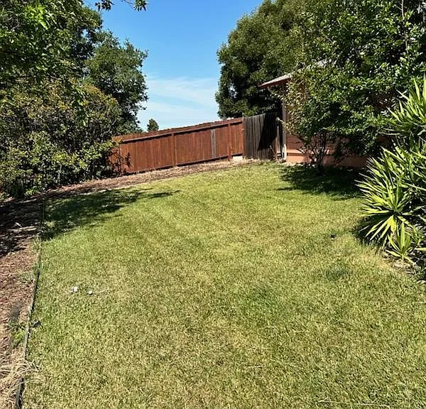 2230 Redwood St — Photo 17