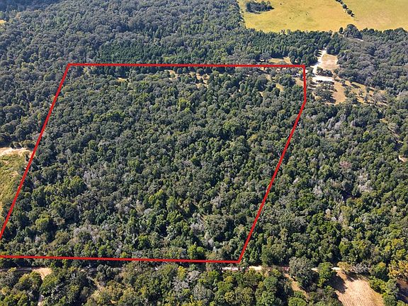 5th image of 10890 County Road 3819