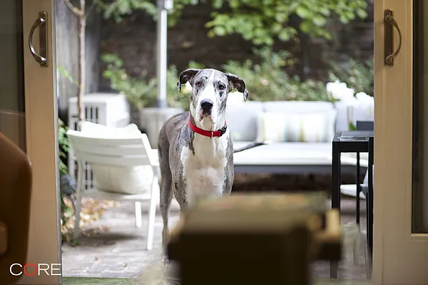 Sold by CORE | media 5