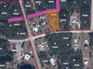 204 Ponderosa Pines Ct, Georgetown, FL 32139
